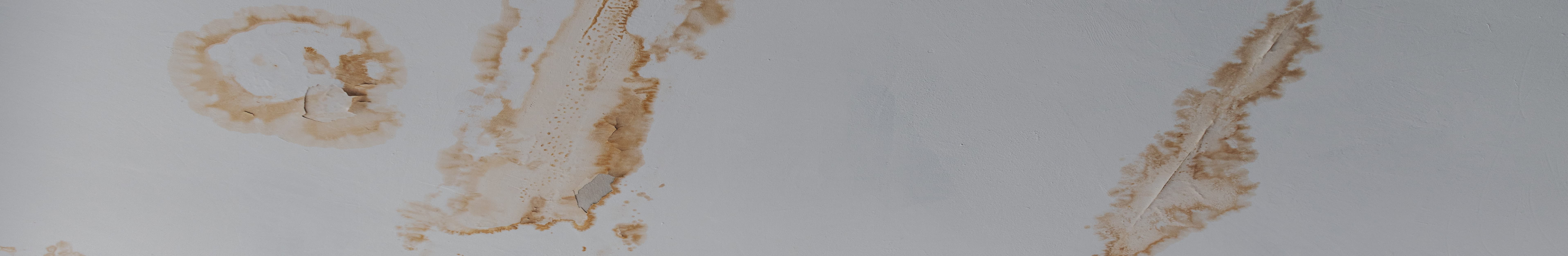 Water Damage Attorney Florida