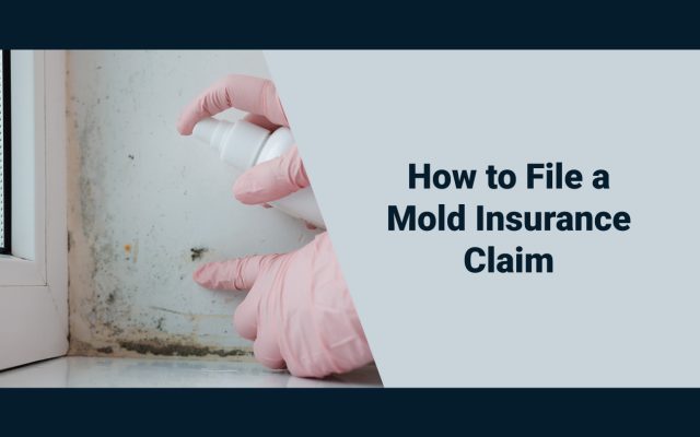 How to File a Mold Insurance Claim