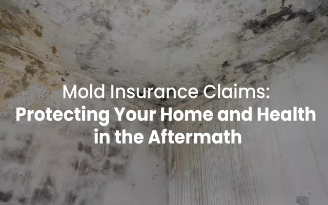 Mold Insurance Claims: Protecting Your Home and Health in the Aftermath